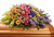 Garden of Sweet Memories Casket Spray