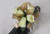 Graceful Gold Corsage. Designed on a white beaded bracelet. This Gold and white wrist corsage will dazzle her. An exclusive design by Chappell's Florist