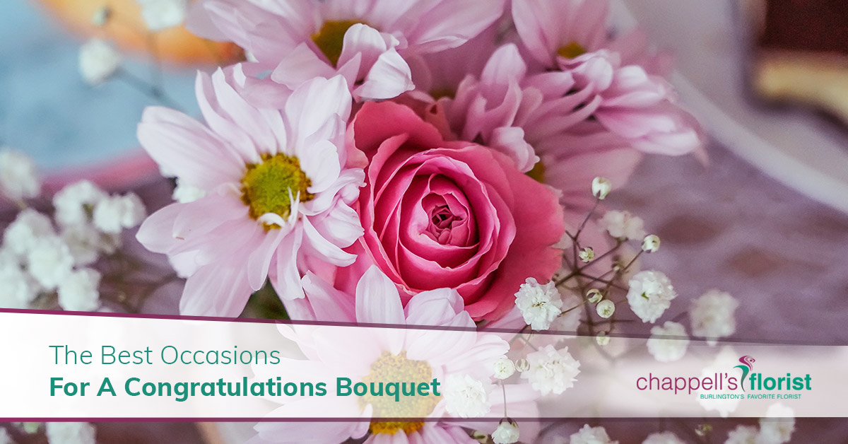 The Best Occasions For A Congratulations Bouquet Chappell's Florist