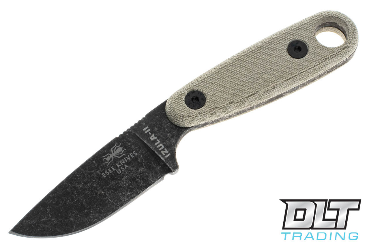 ESEE-3142083__13421.1648934867