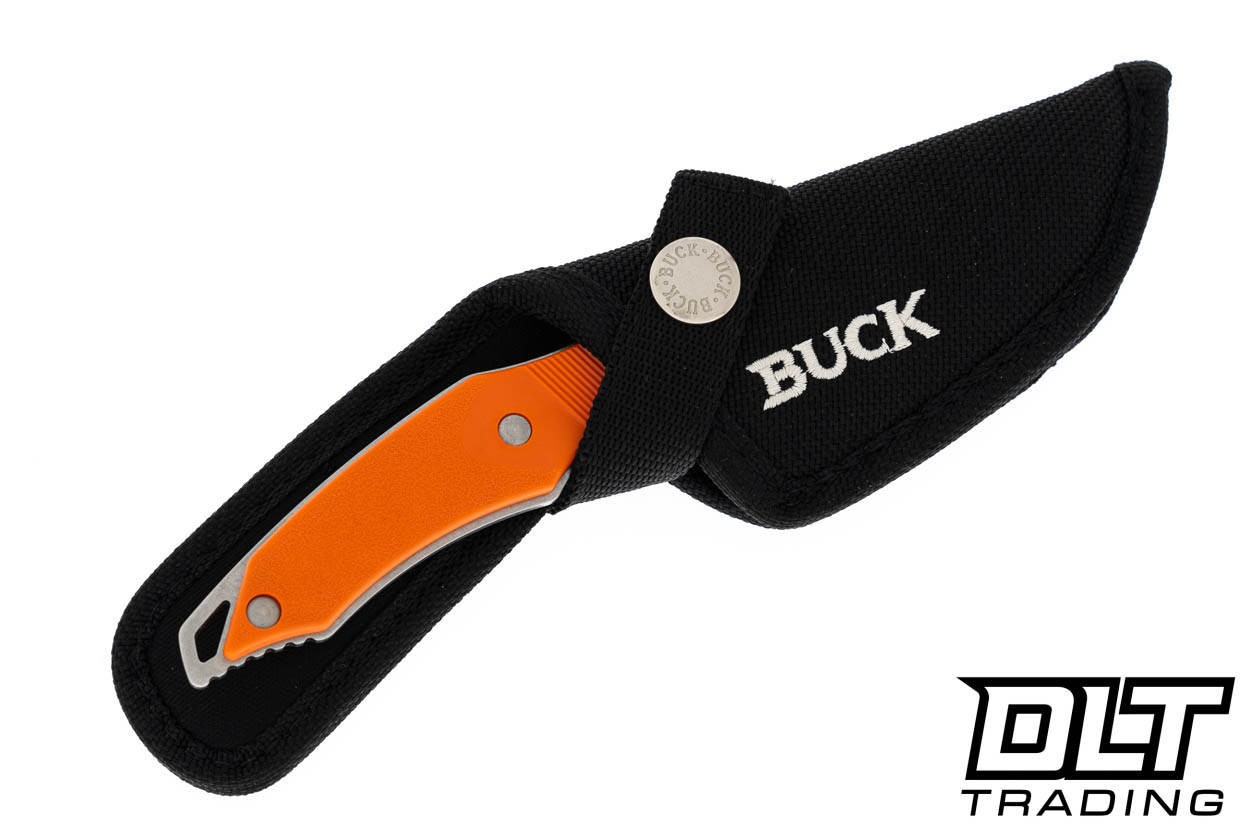 buck-71823003__95828.