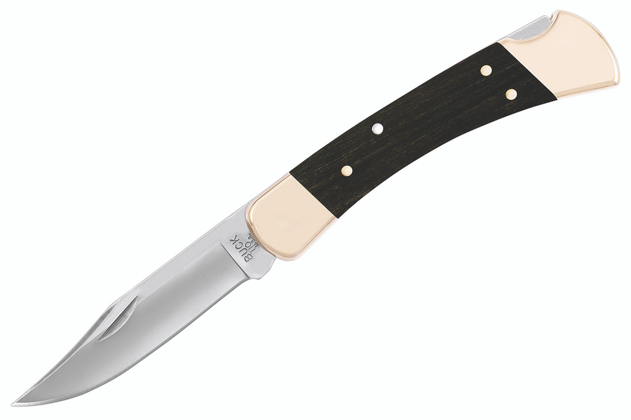 Buck 110 Folding Hunter