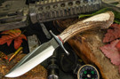 Blackjack Model 5 Sambar Stag Crown #3