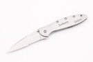 Kershaw 1660ST Leek - Serrated