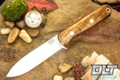 Bark River Mini Kephart 3V Dark Curly Maple - Red Liners #2