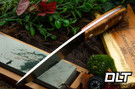 Fox River II LT 3V Dark Curly Maple - Red Liners #3