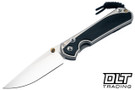 Chris Reeve Large Sebenza 31 - Polished Titanium & Blade - Bog Oak Inlay - #51