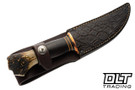 Treeman Knives Sticker AEB-L - Copper Guard - Horsehide Stack - Crotch Stag