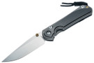 Chris Reeve Large Sebenza 31 - Bog Oak Inlay - #144