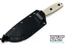 ESEE 4P - Stainless Steel - M.O.L.L.E Back