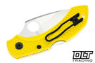 Spyderco Dragonfly 2 Salt - Fully Serrated