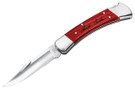 Buck 110 Folding Hunter - Chairman Series