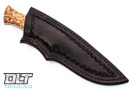 W.A Surls Mustang - Masur Birch - #38051