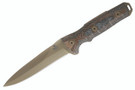 Buck 891BRS1 Ground Combat Spear Point - Coyote Brown