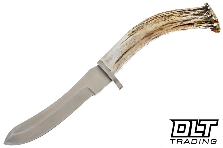 Silver Stag Bullnose Crown