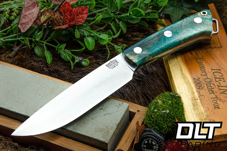 Bark River Fox River II LT 3V Mint Maple Burl