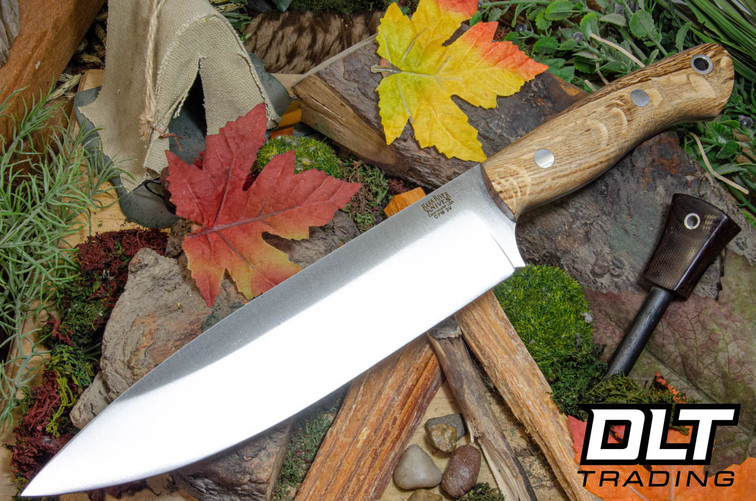 Bark River Aurora III 3V Sycamore Burl #1