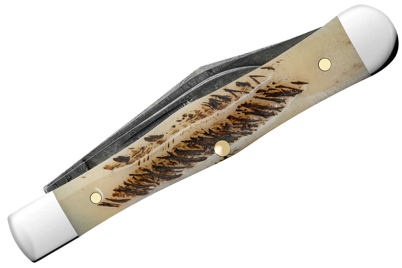 Case Small Swell Center Jack - Vintage Bone - Damascus - DLT Trading