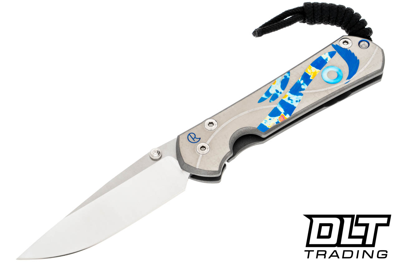 Chris Reeve Small Sebenza 31 - Unique Graphic - #72 - DLT Trading