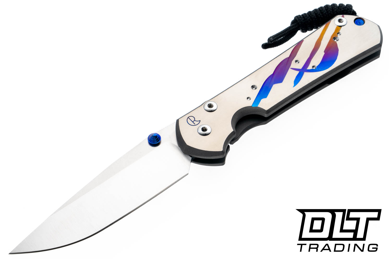 Chris Reeve Large Sebenza 31 - Unique Graphic - #85 - DLT Trading