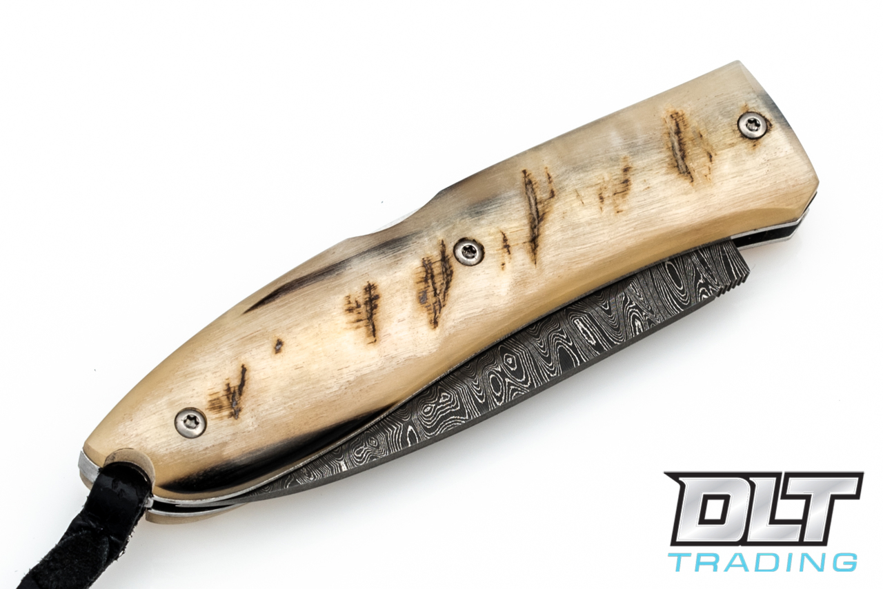LionSteel 8800 Opera Damascus - Ram Horn - DLT Trading