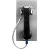 VoIP Vandal Resistant Panel Phone EWP