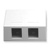 SURFACE MOUNT BOX  2-PORT  WHITE