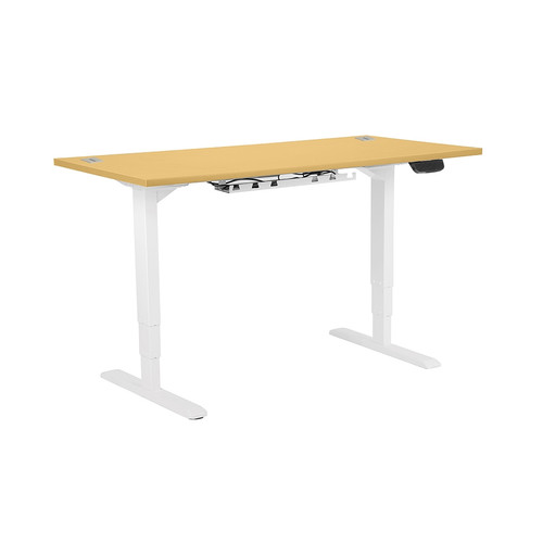 Electric Height Adjustable Sit / Stand Desk