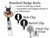 Doberman Pinscher Retractable ID Badge Reel, Lanyard, or Carabiner