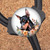 Doberman Pinscher Retractable ID Badge Reel, Lanyard, or Carabiner