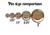 Santa Pinback button pin or flatback (12 Pack)