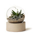 [Sample] Orbit Terrarium - Small