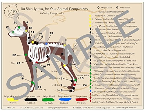 Large Laminated Jin Shin Jyutsu JSJ for Your Canine Companion Chart of Safety Energy Locks