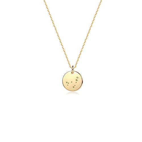 Mevecco Capricorn Astrology Zodiac 