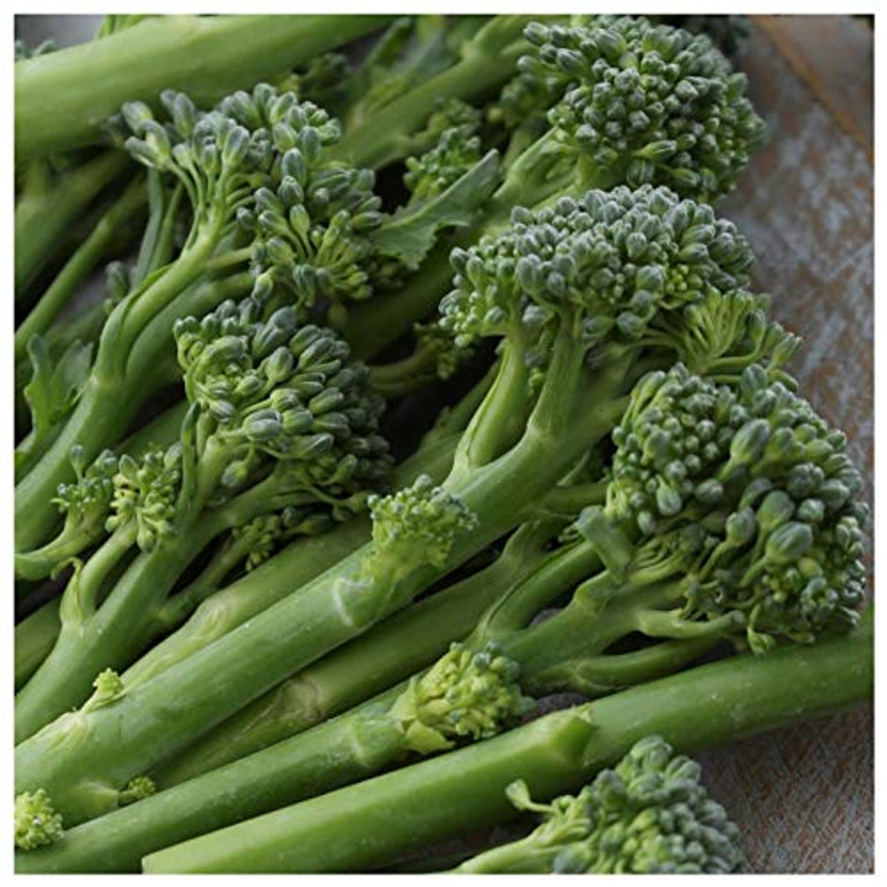 Vegetable Organic 500 Seeds Calabrese Green Sprouting 