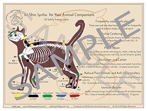 Large Laminated Jin Shin Jyutsu JSJ for Your Feline Companion Chart of Safety Energy Locks