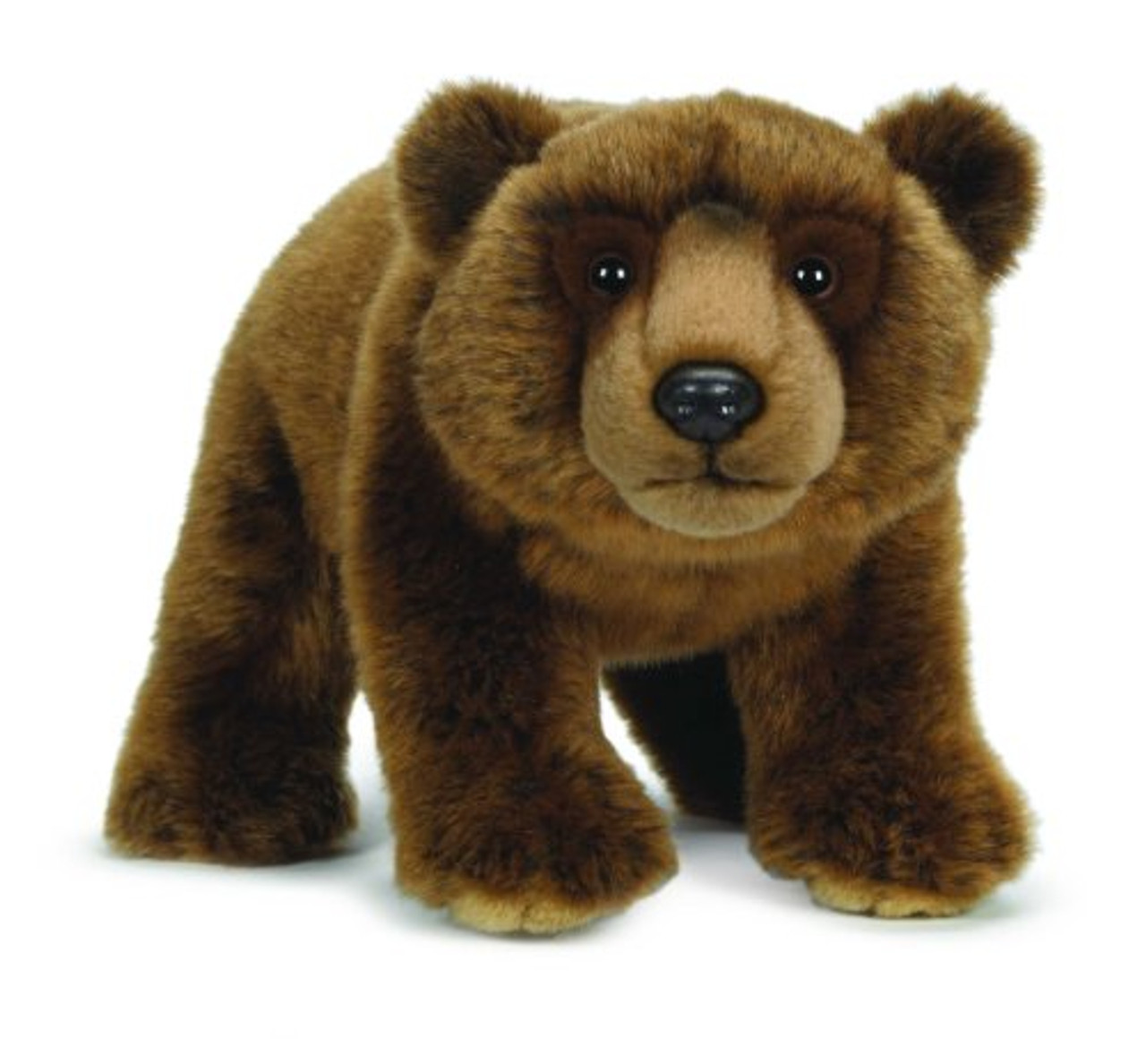 grizzly bear webkinz