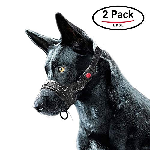using a muzzle to stop biting