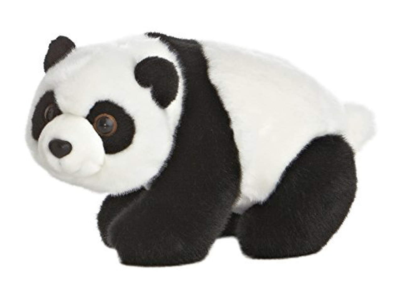 aurora panda bear