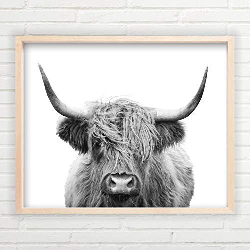 Highland Cow Wall Art (Unframed 11x14 
