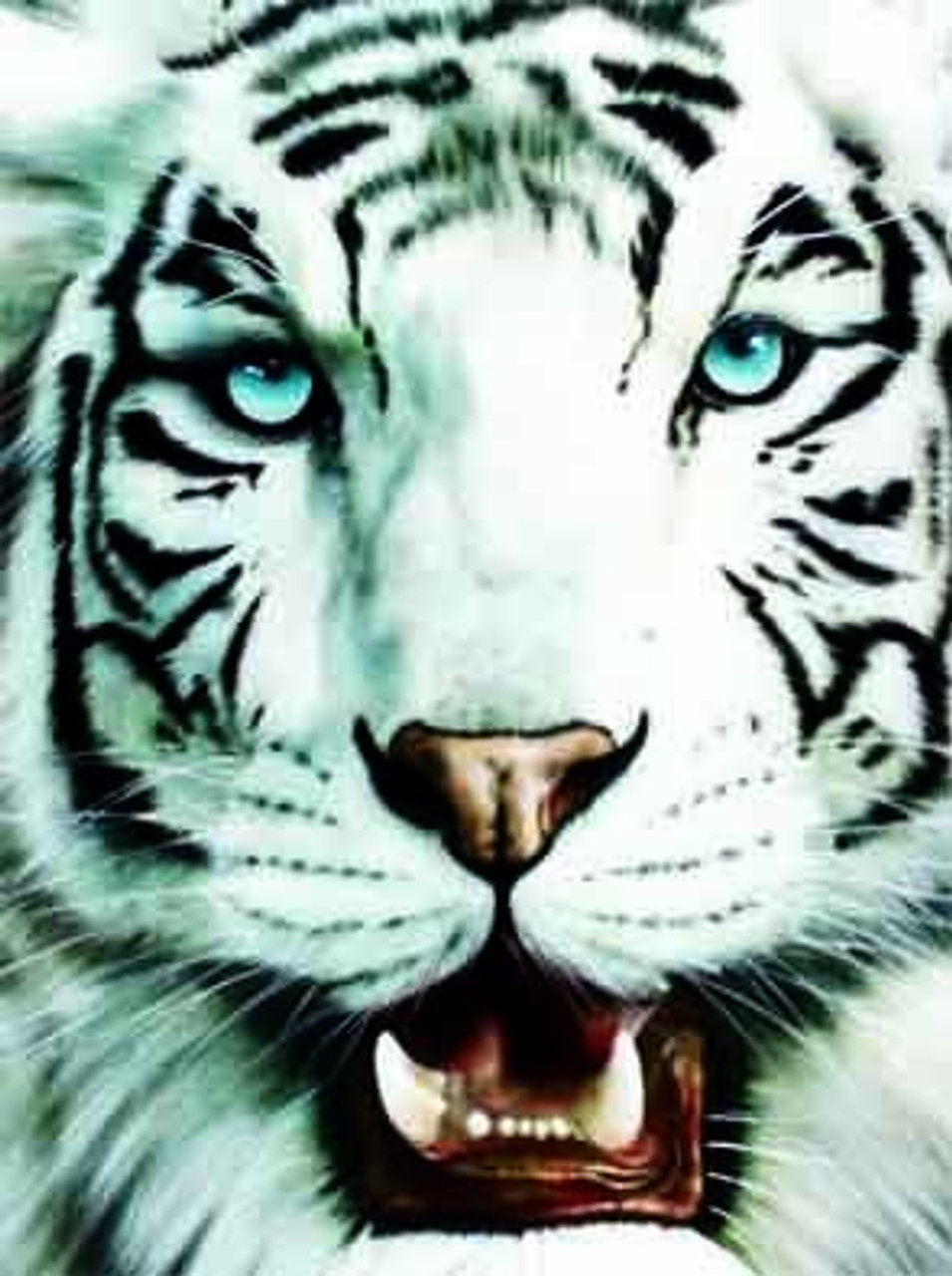 Snow Tiger face 3D Lenticular Image 40cm x 30cm unframed 