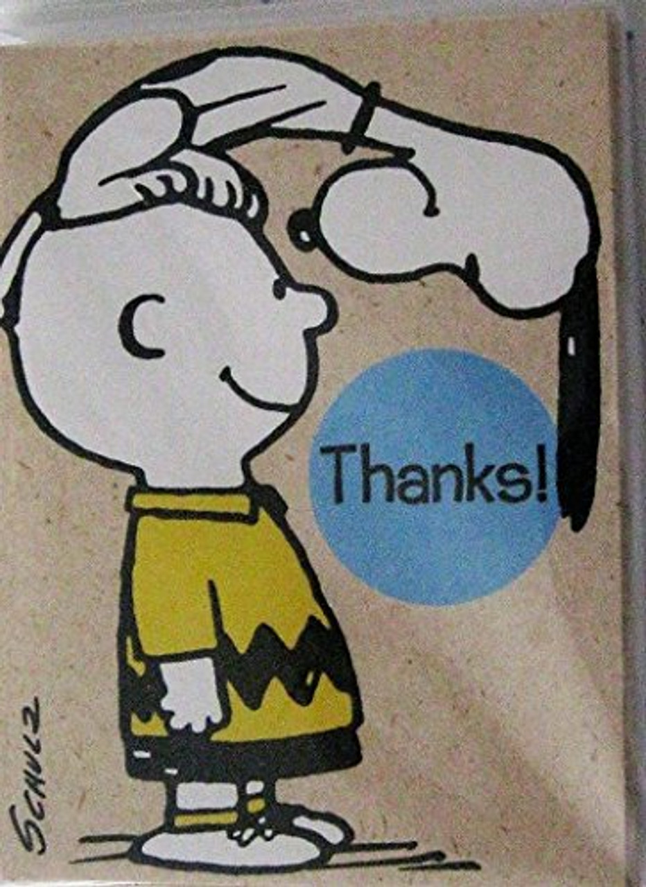 Hallmark Peanuts Snoopy Charlie Brown Package 10 Thank You Cards Notes Warehousesoverstock