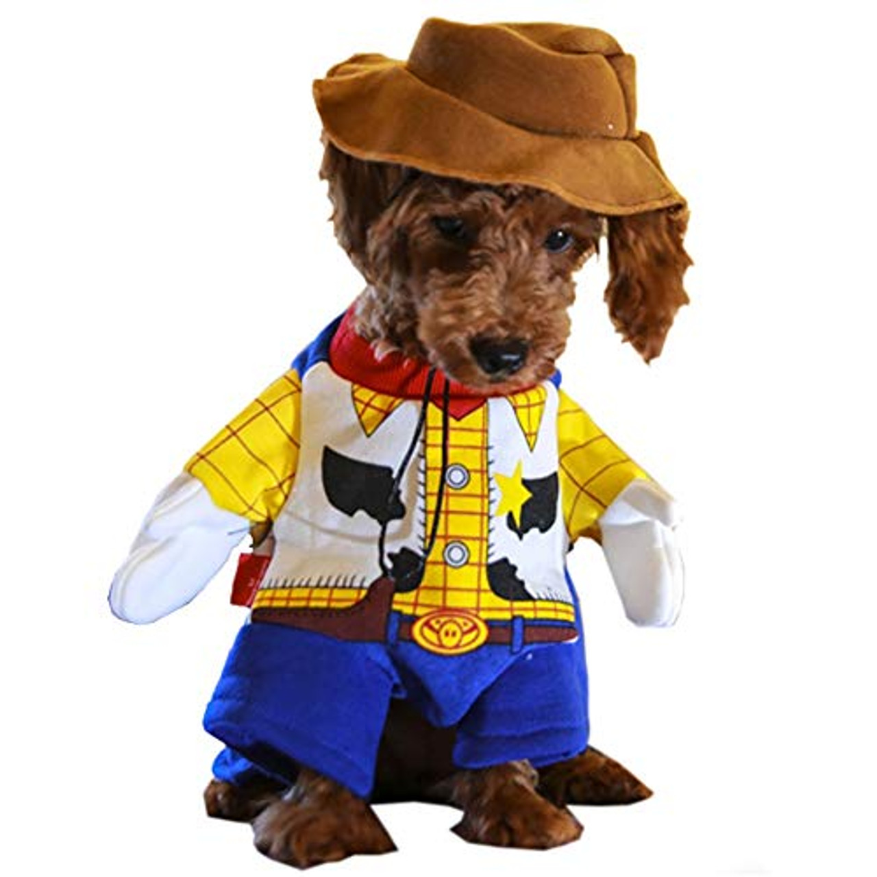 woody costume accessories