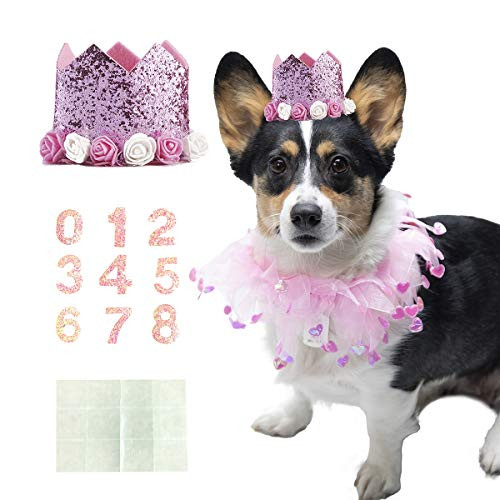Coomour Dog Birthday Collar Pet Tutu Costume Funny Pet with Birthday Crown Hat for Cat Puppy Party Supplies -Medium-