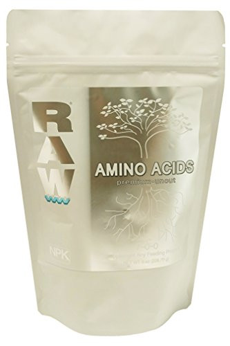 RAW Amino Acids 8 oz
