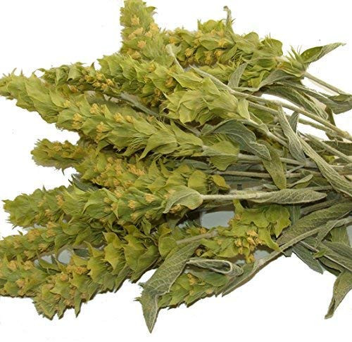 Sparta Natura Greek Mountain Tea  Organic Sideritis Scardica  Premium Quality from Mount Olympus  Improving Psychic and Physic Health  2 oz  Herbal