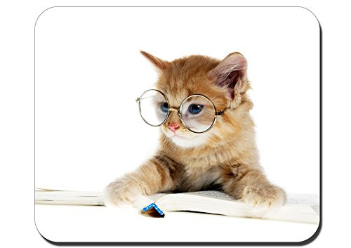 RUBIN Mouse Pad Anti-Slip Personalized Rectangle Gaming MousePads Size9 4 x7 9 RB319 Cute cat with Glasses