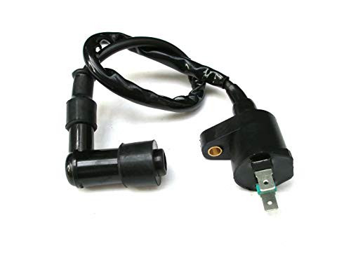 DIRT BIKE Ignition Coil for Kawasaki KLX 110 2002 2003 2004 2005 2006 2007 2008 2009 2010 2011 DIRT BIKE Ignition Coil for Kawasaki KLX 110 2002 2003 2004 2005 2006 2007 2008 2009 2010 2011