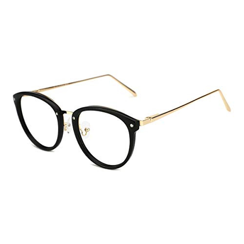 TIJN Blue Light Blocking Vintage Round Metal Optical Eyewear Non-prescription Eyeglasses Frame for Women