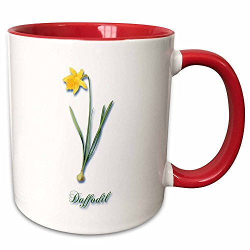 3dRose 171188_5, Botanical Print Bright Yellow Daffodil Early Spring Flower" Ceramic Mug 11 oz Red/White